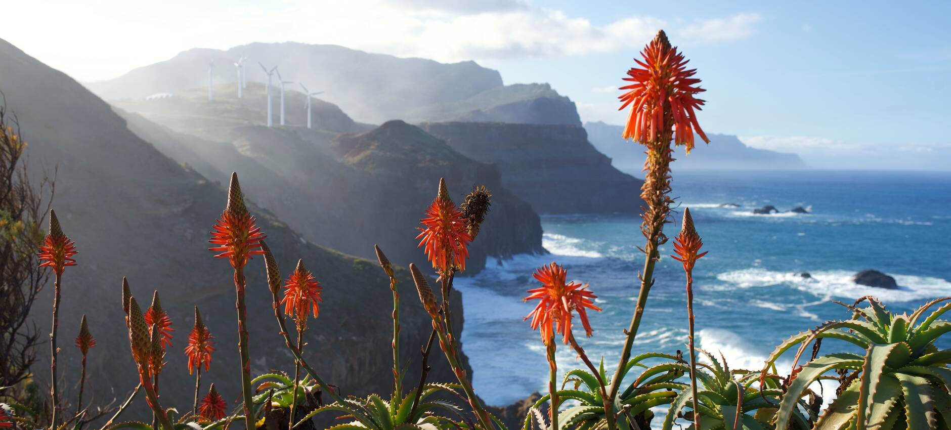 Foto Madeira
